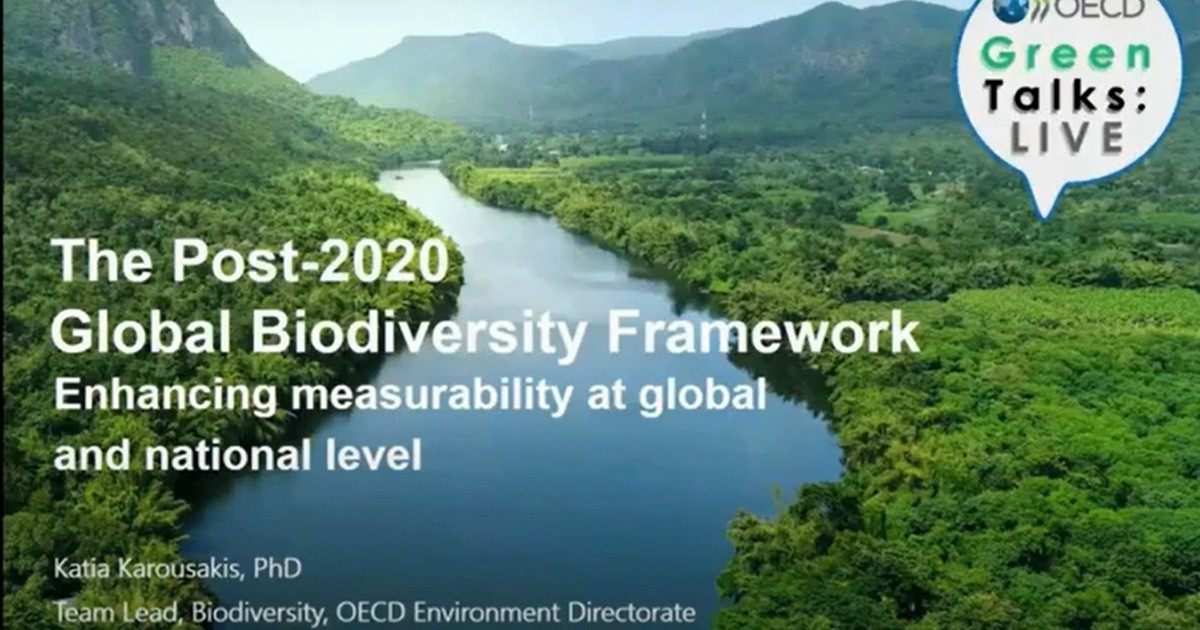 OECD Expert Workshop On The Post-2020 Biodiversity Framework: Targets ...