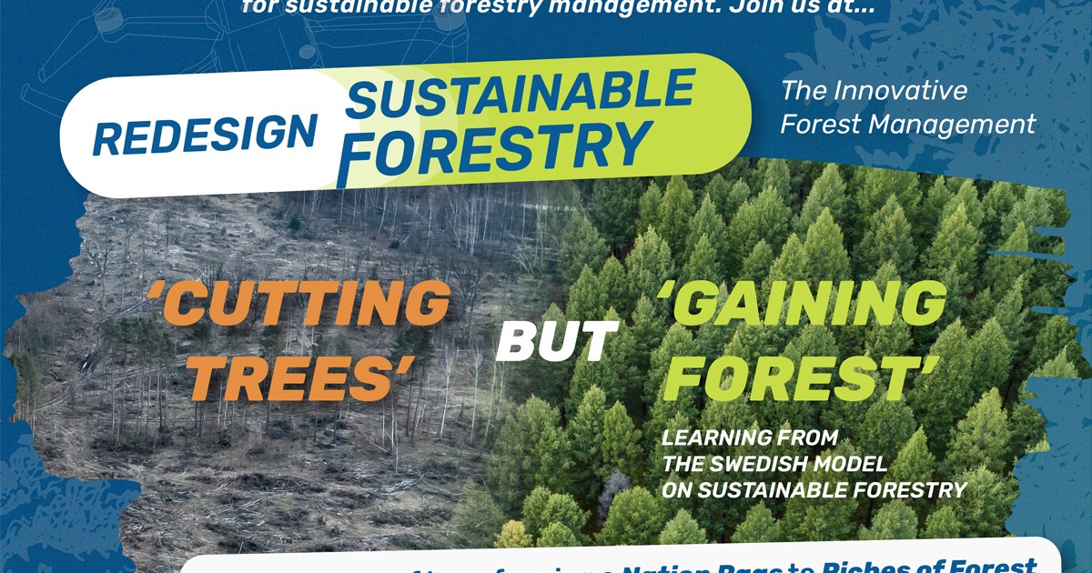 Redesign Sustainable Forestry The Innovative Forest Management   Share OcuTkB 