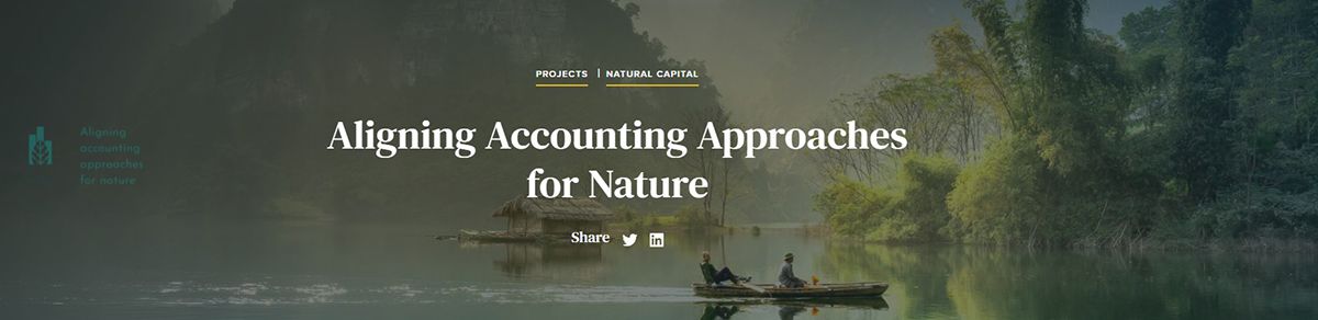 Regarding Biodiversity Specifically: Aligning Accounting Approaches For ...