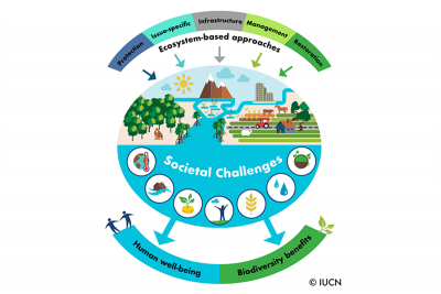 IUCN Issues Brief: Ensuring effective Nature-based Solutions » Global ...
